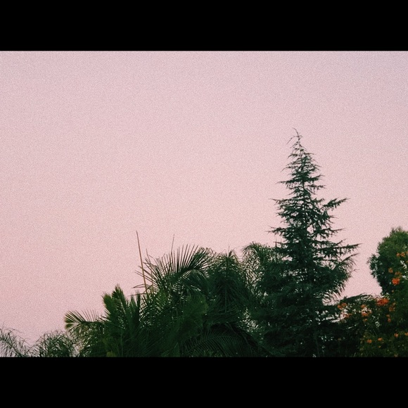 Meet your Posher, Ashley - Picture 1 of 1